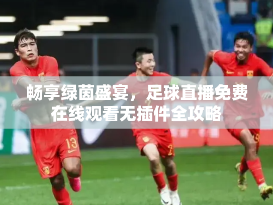 畅享绿茵盛宴，足球直播免费在线观看无插件全攻略