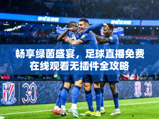 畅享绿茵盛宴，足球直播免费在线观看无插件全攻略
