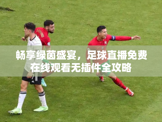 畅享绿茵盛宴，足球直播免费在线观看无插件全攻略