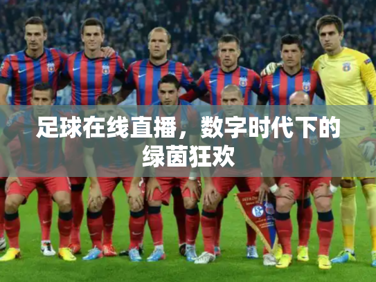 足球在线直播，数字时代下的绿茵狂欢