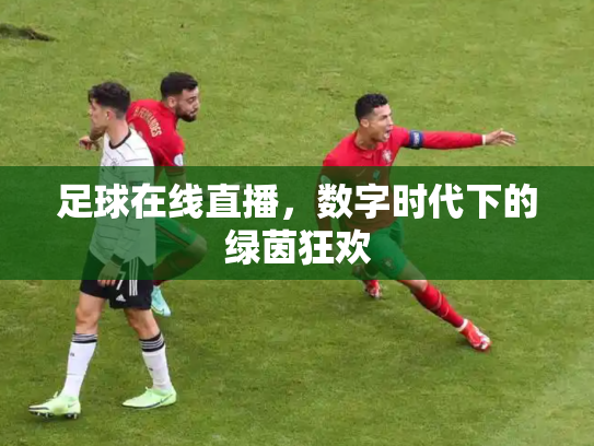 足球在线直播，数字时代下的绿茵狂欢
