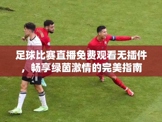 足球比赛直播免费观看无插件，畅享绿茵激情的完美指南