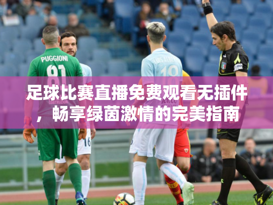 足球比赛直播免费观看无插件，畅享绿茵激情的完美指南