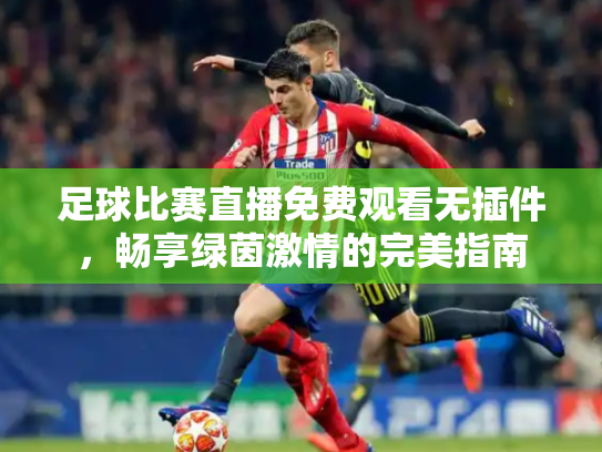 足球比赛直播免费观看无插件，畅享绿茵激情的完美指南