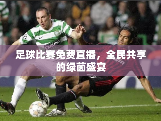 足球比赛免费直播，全民共享的绿茵盛宴