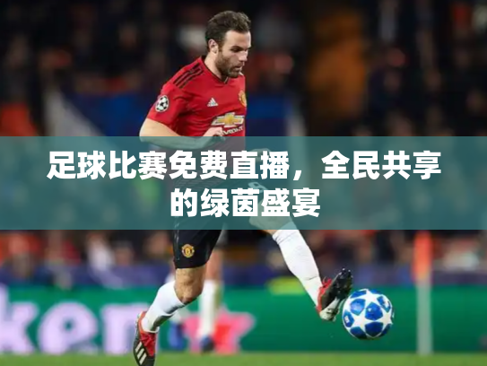足球比赛免费直播，全民共享的绿茵盛宴