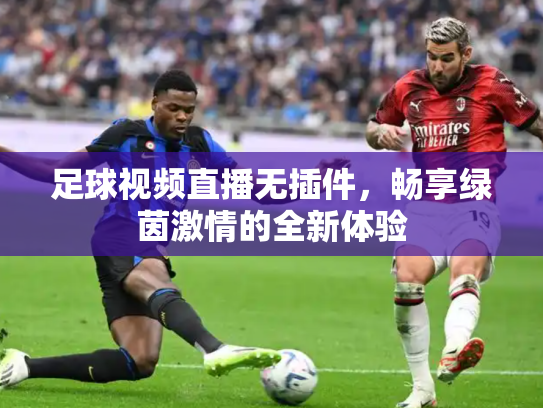 足球视频直播无插件，畅享绿茵激情的全新体验