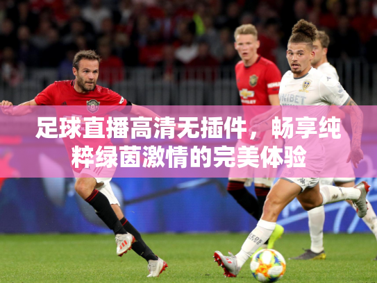 足球直播高清无插件，畅享纯粹绿茵激情的完美体验