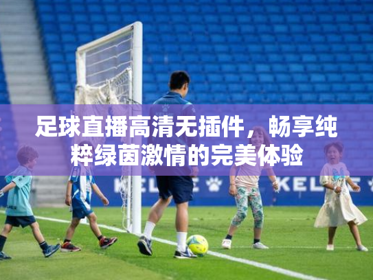 足球直播高清无插件，畅享纯粹绿茵激情的完美体验