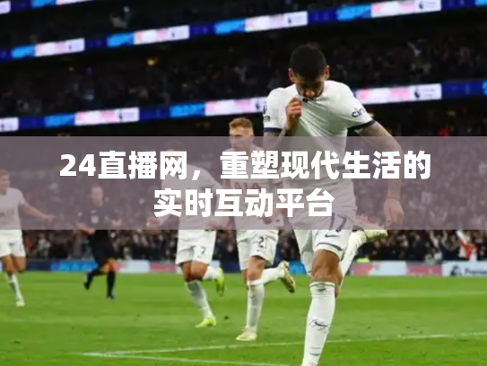 24直播网，重塑现代生活的实时互动平台