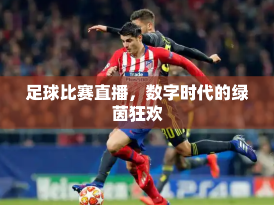 足球比赛直播，数字时代的绿茵狂欢