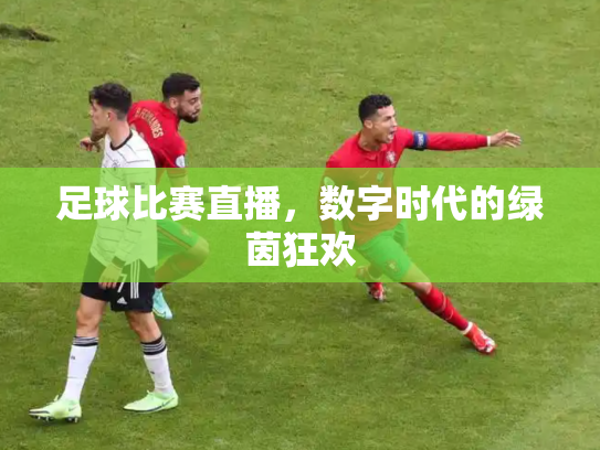 足球比赛直播，数字时代的绿茵狂欢