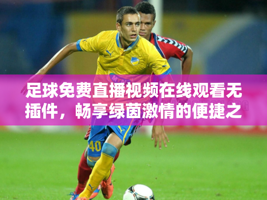 足球免费直播视频在线观看无插件，畅享绿茵激情的便捷之道