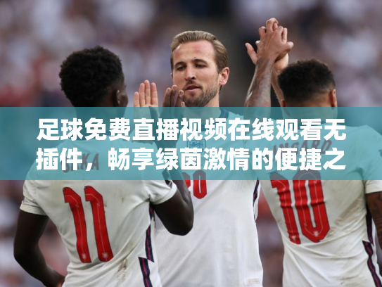 足球免费直播视频在线观看无插件，畅享绿茵激情的便捷之道