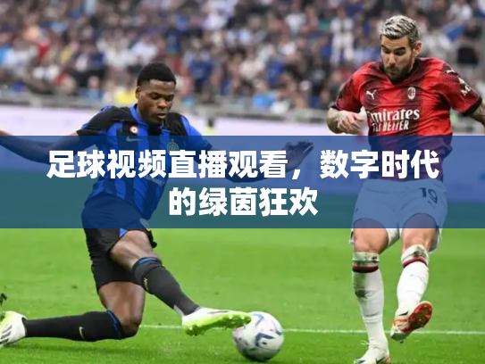 足球视频直播观看，数字时代的绿茵狂欢