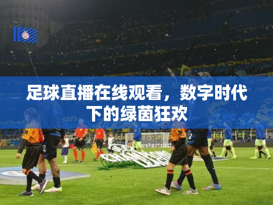 足球直播在线观看，数字时代下的绿茵狂欢