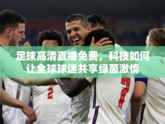 足球高清直播免费，科技如何让全球球迷共享绿茵激情