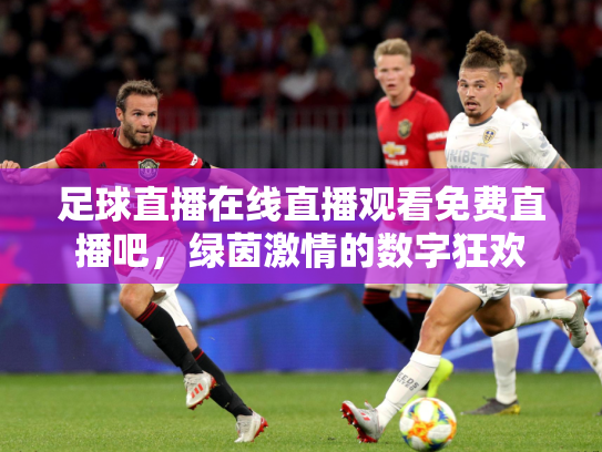 足球直播在线直播观看免费直播吧，绿茵激情的数字狂欢