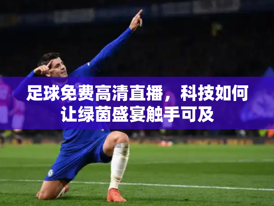 足球免费高清直播，科技如何让绿茵盛宴触手可及