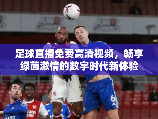 足球直播免费高清视频，畅享绿茵激情的数字时代新体验