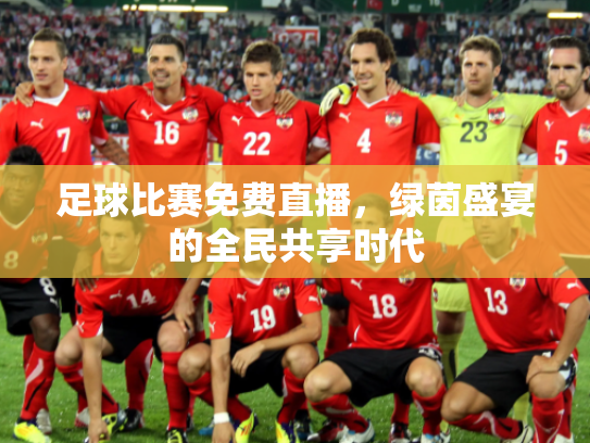 足球比赛免费直播，绿茵盛宴的全民共享时代