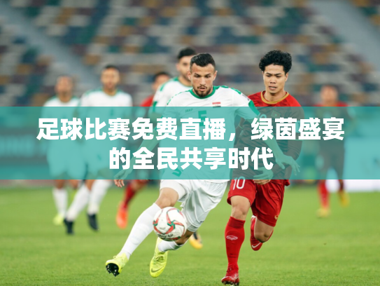 足球比赛免费直播，绿茵盛宴的全民共享时代