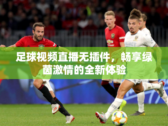 足球视频直播无插件，畅享绿茵激情的全新体验