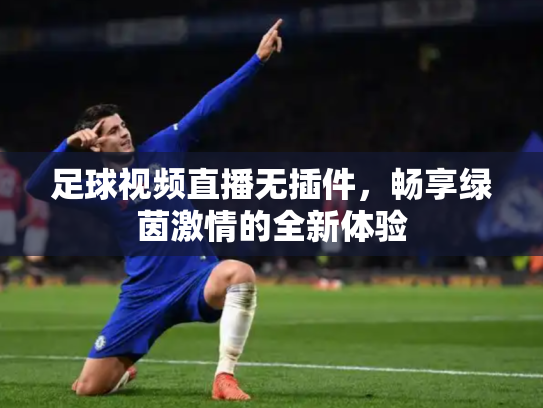 足球视频直播无插件，畅享绿茵激情的全新体验