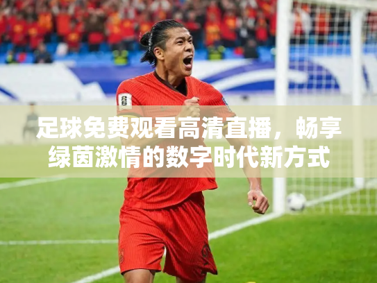 足球免费观看高清直播，畅享绿茵激情的数字时代新方式