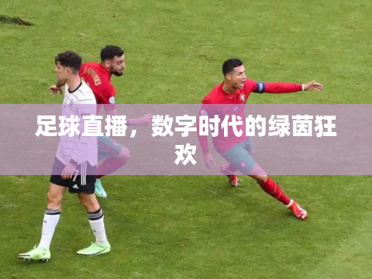 足球直播，数字时代的绿茵狂欢