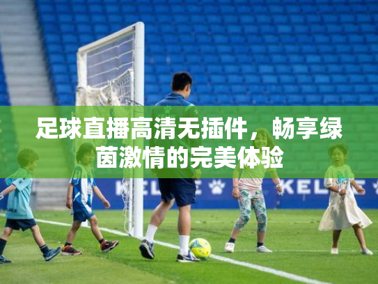 足球直播高清无插件，畅享绿茵激情的完美体验