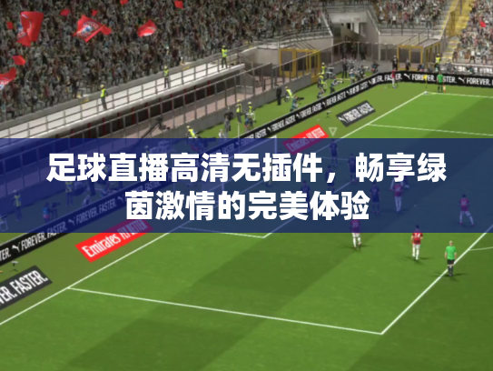 足球直播高清无插件，畅享绿茵激情的完美体验