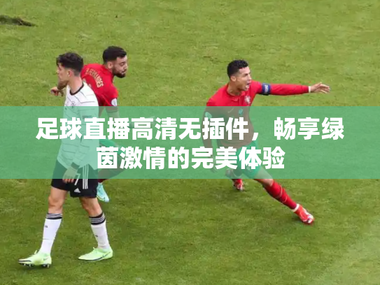 足球直播高清无插件，畅享绿茵激情的完美体验