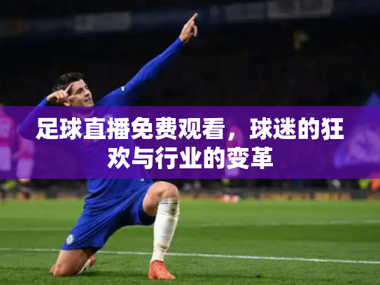 足球直播免费观看，球迷的狂欢与行业的变革
