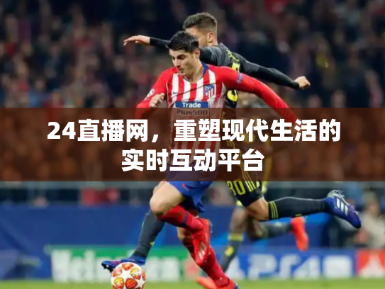 24直播网，重塑现代生活的实时互动平台