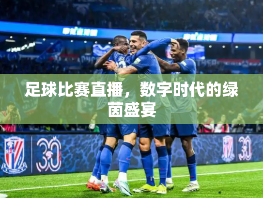 足球比赛直播，数字时代的绿茵盛宴