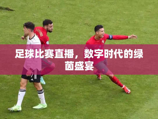 足球比赛直播，数字时代的绿茵盛宴