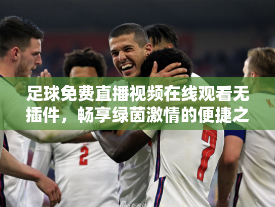 足球免费直播视频在线观看无插件，畅享绿茵激情的便捷之道
