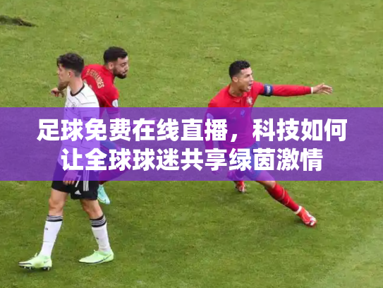足球免费在线直播，科技如何让全球球迷共享绿茵激情