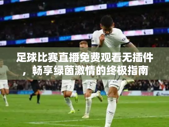足球比赛直播免费观看无插件，畅享绿茵激情的终极指南
