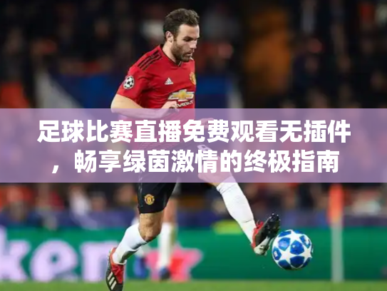 足球比赛直播免费观看无插件，畅享绿茵激情的终极指南