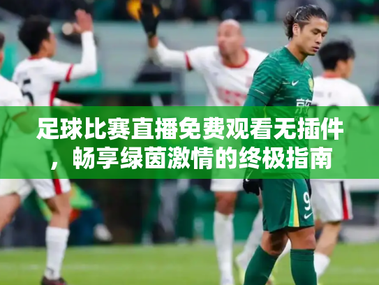 足球比赛直播免费观看无插件，畅享绿茵激情的终极指南