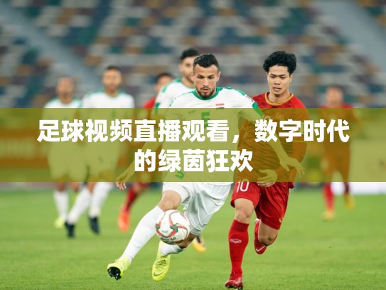足球视频直播观看，数字时代的绿茵狂欢