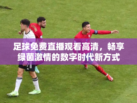 足球免费直播观看高清，畅享绿茵激情的数字时代新方式