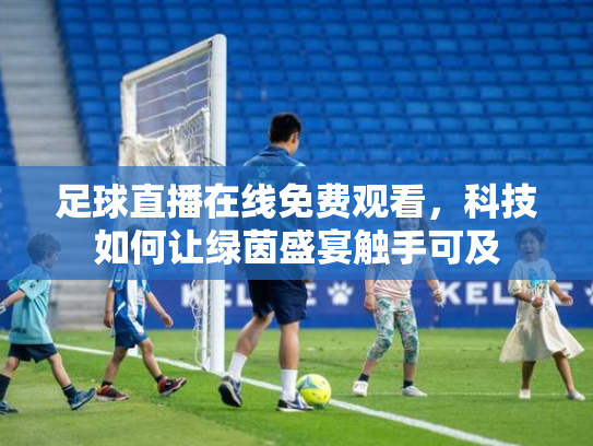 足球直播在线免费观看，科技如何让绿茵盛宴触手可及