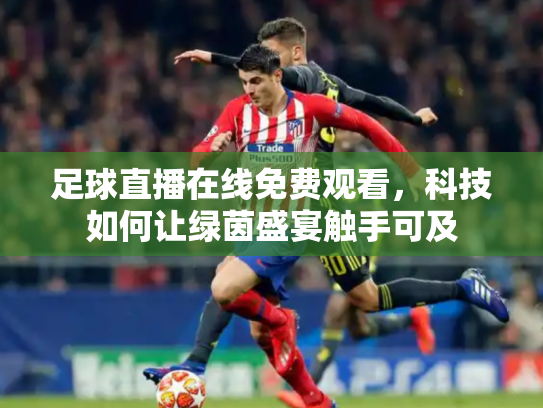 足球直播在线免费观看，科技如何让绿茵盛宴触手可及