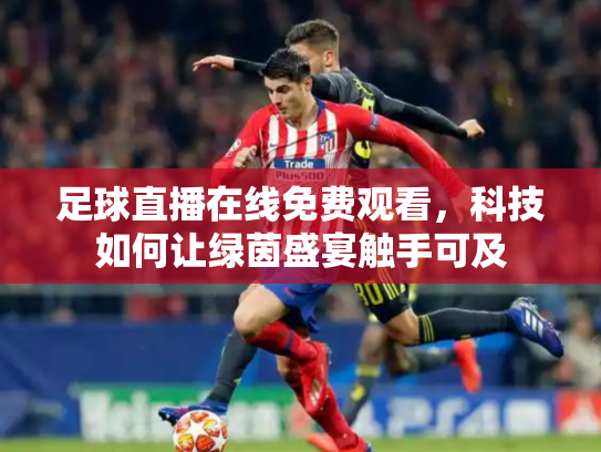 足球直播在线免费观看，科技如何让绿茵盛宴触手可及