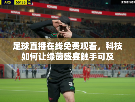 足球直播在线免费观看，科技如何让绿茵盛宴触手可及
