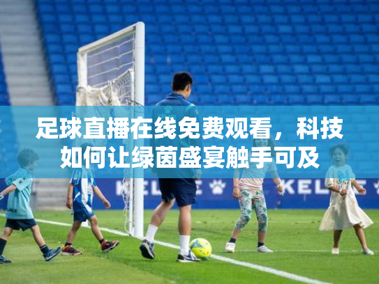 足球直播在线免费观看，科技如何让绿茵盛宴触手可及