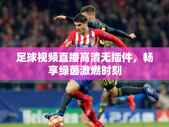 足球视频直播高清无插件，畅享绿茵激燃时刻